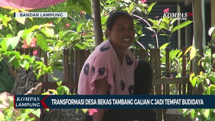 Transformasi Desa Bekas Tambang Galian C Jadi Tempat Budidaya