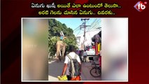 ఏనుగు ఖుషీ అయితే ఎలా ఉంటుందో తెలుసా.. #elephant eating #banana #viralvideo | FBTV NEWS