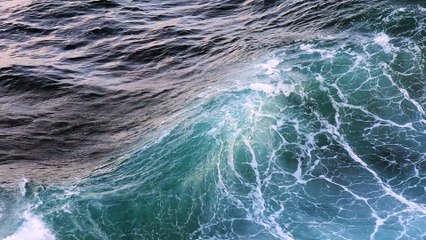 18680290-hd_1920_1080_25fps