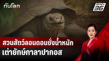 สวนสัตว์ลอนดอนชั่งน้ำหนักเต่ายักษ์กาลาปากอส | ทันโลก DAILY | 23 ต.ค. 67