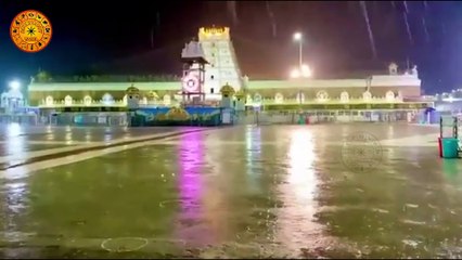 திருப்பதில்  கனமழை  விஐபி தரிசனம் ரத்து tirupati rain