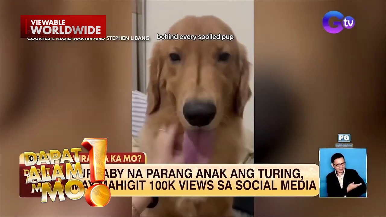 Aso, anak na kung ituring ng kanyang amo | Dapat Alam Mo!