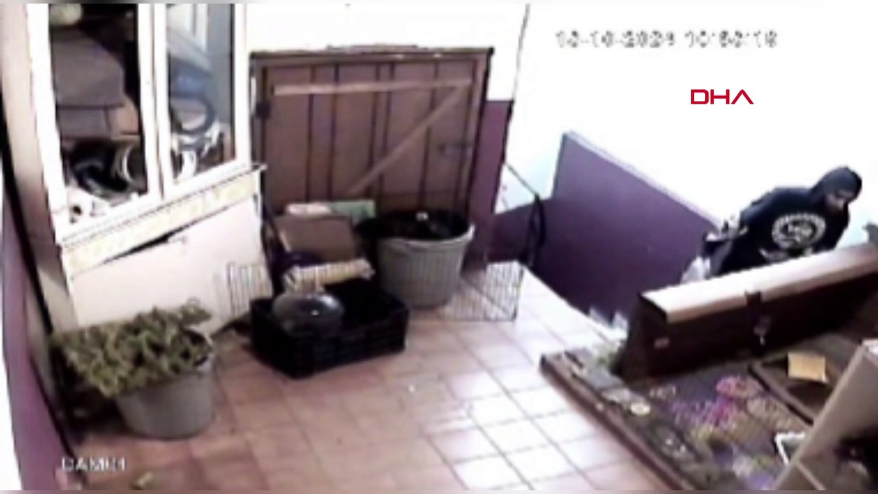 Kağıthane'de binaya giren hırsız tavşanı çaldı!