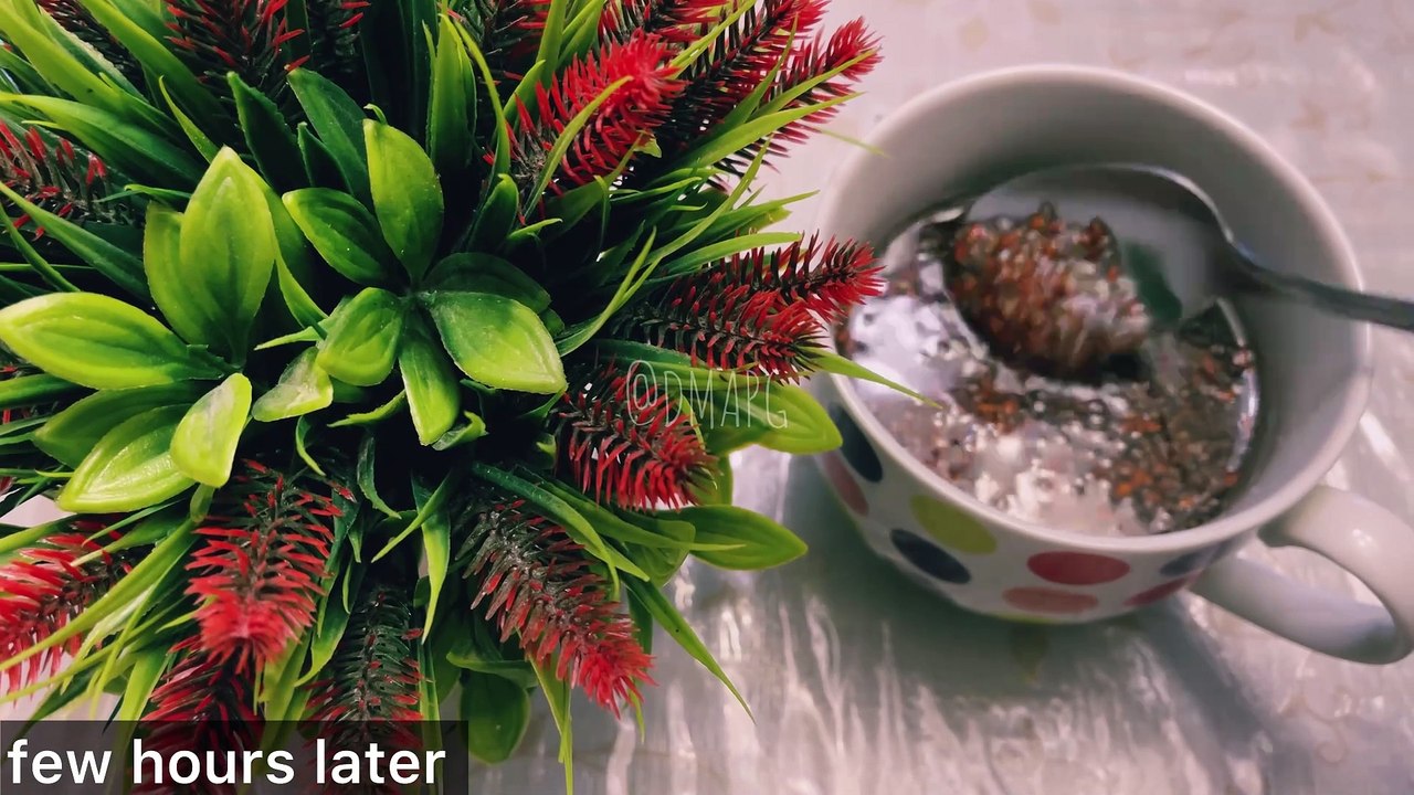 Chia Seed & Flaxseed The Secret Drink for Effective Meal Reduction Recipe By DMAPG