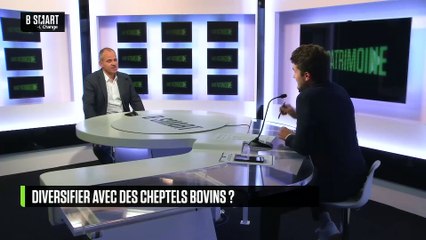 SMART PATRIMOINE - Diversifier avec des cheptels bovins ?