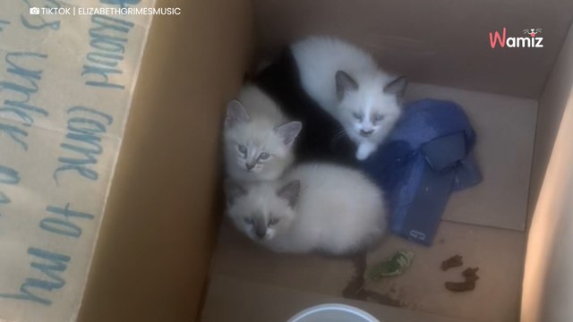 Une famille trouve une boite en carton sur un trottoir : le mot écrit dessus est bouleversant