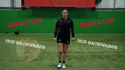 Single Leg Hop Backwards