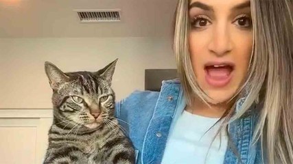 Video: nainen pukee kissansa Chucky-nukeksi ja saa internetin sekoamaan