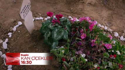 Dilan aklını mı kaybediyor? Kan Çiçekleri 372. bölüm fragmanı yayınlandı