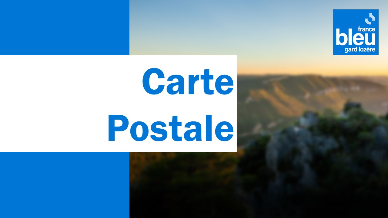 Vol de grues en migration dans le ciel du Grau-du-Roi