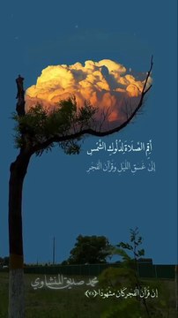 تلاوة خاشِعة _ محمد صديق المنشاوي