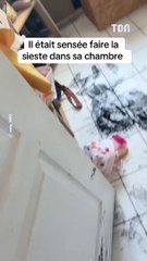 Son fils était censé faire une sieste