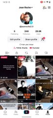 JEAN ROCHE MEME
