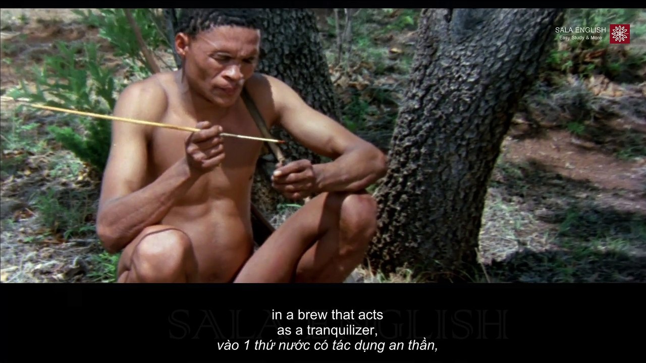 Học Tiếng Anh Qua Phim: The Gods Must Be Crazy...
