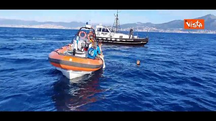 La tartaruga Silva torna in mare dopo 10 mesi di riabilitazione all'Acquario di Genova