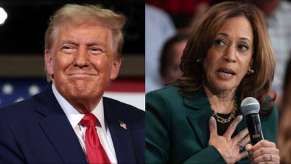 Elecciones EE.UU. 2024: ¿Cuánto Se Tarda En Saber El Ganador?