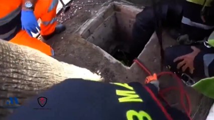 Cae a una alcantarilla y tiene que ser rescatado por los bomberos