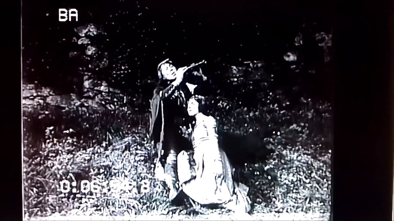 Rattenfänger von Hameln / The Pied Piper of Hamelin (1918) fragment