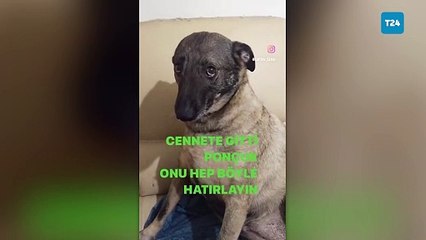 Bakışlarıyla gönülleri fetheden Ponçuk hayata veda etti