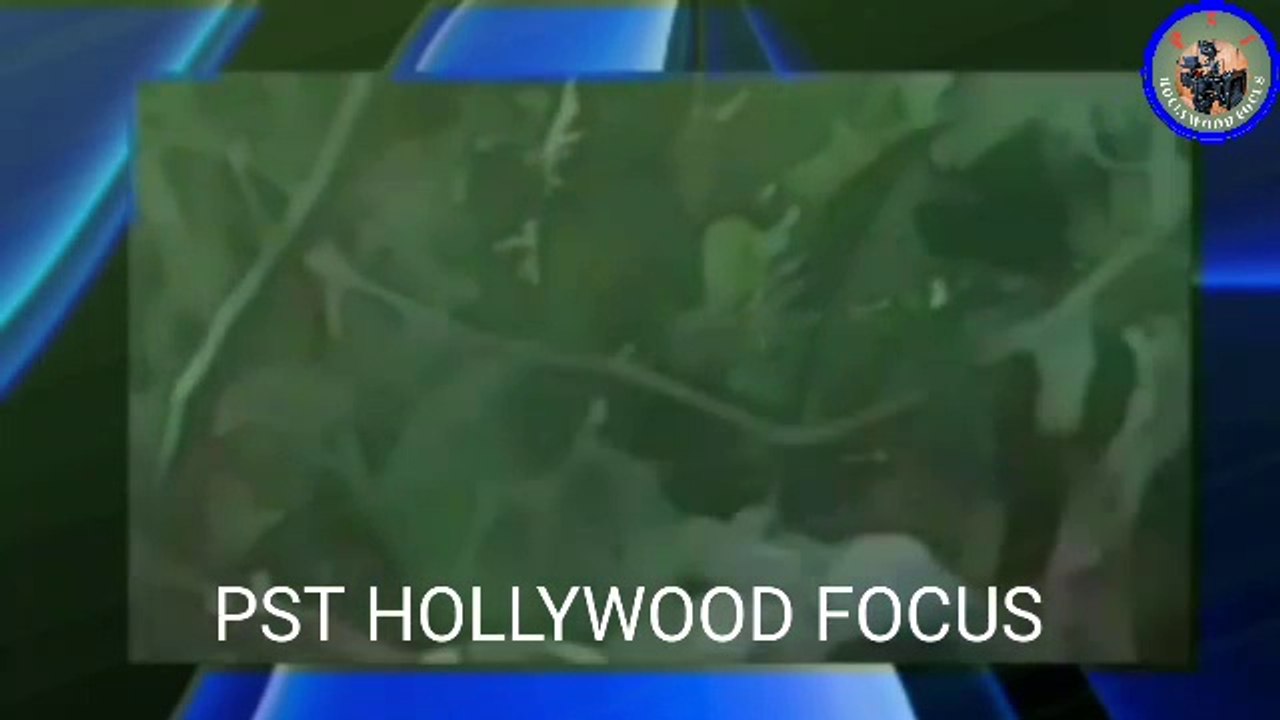 Superhit Action Movie I Hollywood Movie I Pratap Tayade I