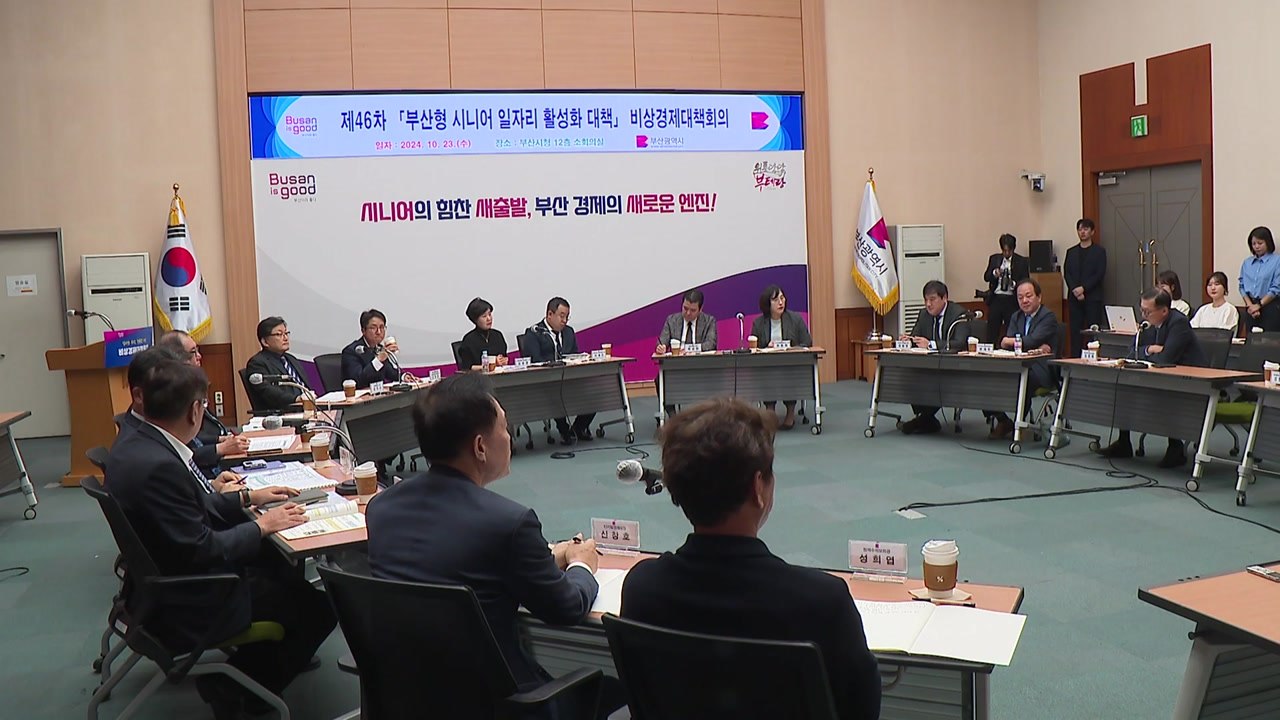 [부산] 부산 주도 '장·노년 일자리 활성화 대책' 추진 / YTN