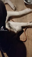 éduc le donne lui ce qu'il a besoin il te donnera ce que tu as besoin