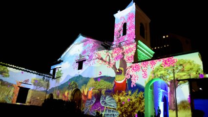 "Vuelve a renacer ese orgullo por la región y por Cali": secretaria de cultura por la COP16