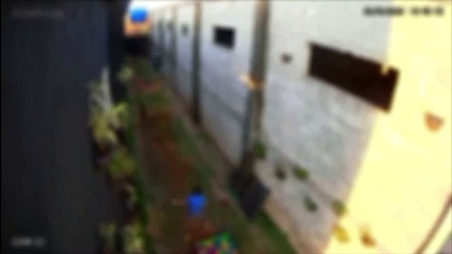 Video: ¡Aberrante! 23 mascotas de una veterinaria son torturadas por un niño de 9 años