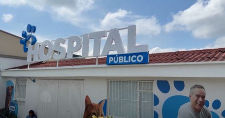 Pereira da un paso monumental en la atención animal inaugurando el primer hospital veterinario público de Colombia