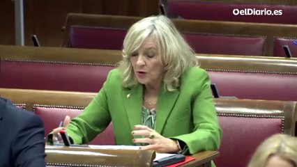 Marlaska, en el Senado: “Nunca me he reunido con Koldo ni Aldama y nunca sospeché de Ábalos”