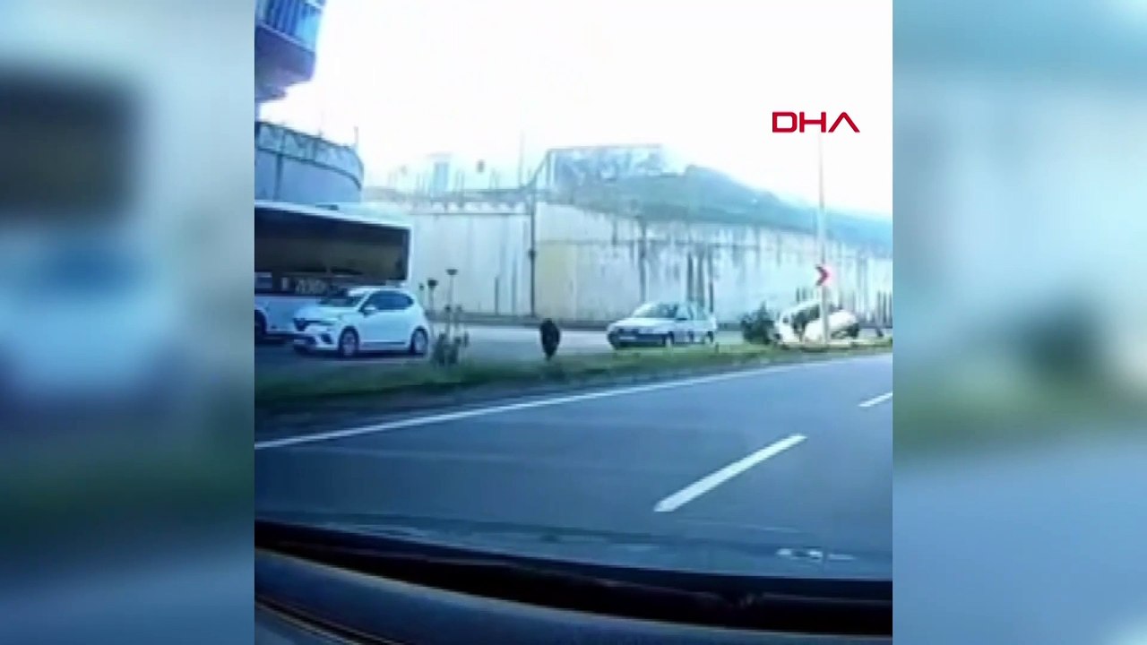 Otomobilin elektrik direğine çarptığı kaza kamerada