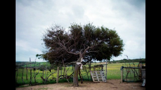 La Source Bande-annonce VO STFR