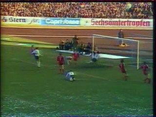 CHAMPIONNAT  D 'ALLEMAGNE  - 1981 - SAISON  1980/1981 -