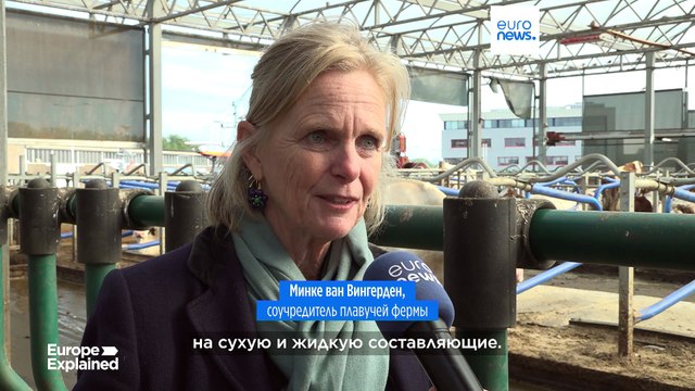 Нидерланды: плавучий коровник помогает бороться с изменением климата
