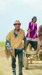 Ma to sedha sada ma to bhola bhala please TikTok team do not under view my video