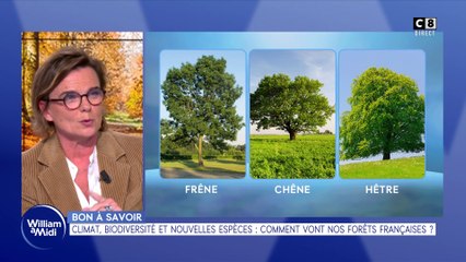 Bon à savoir : Climat, biodiversité, nouvelles espèces... comment vont nos forêts françaises ?
