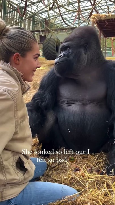 Tambaby was loooking so left out I felt so bad  kifu always takes the food