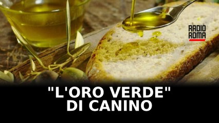 L'oro verde di Canino: l'eccellenza della Tuscia e la sua valorizzazione