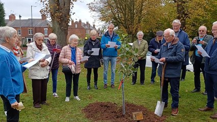Southwell Choral Society Celebrates 60 Years with Tree Planting 🌳