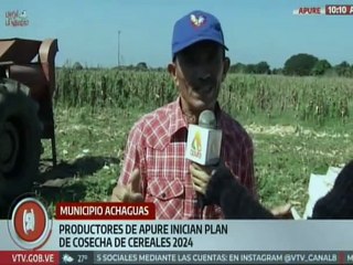 Apure | Inicia Plan de Cosechas de Cereales 2024 en el mcpio. Achaguas