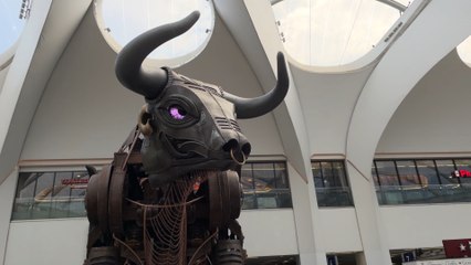 Campaign launched to make Ozzy Osbourne a Freeman of Birmingham