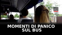 Nigeriano prende a pugni l’autista perché vuole scendere dal bus
