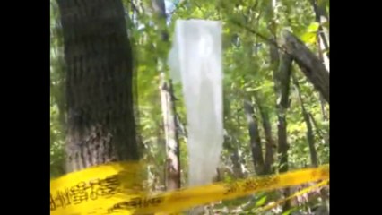 경기 의왕 야산에서 쓰레기 풍선 추정 물체 발견 / YTN