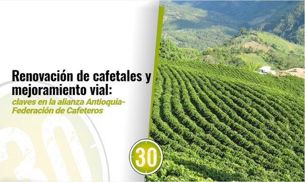 Gobernación de Antioquia y Federación de Cafeteros unen fuerzas por el bienestar de los caficultores