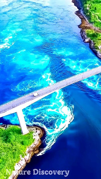 Relaxing Nature and relaxing Music  || Nature Discovery........#nature #relax #relaxing #shortvideo