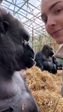 This is TAMBABY who I've known my whole life and developed a completely natural relationship with her For those of you that don't know this video is taken at out sanctuary where we recuse and rewild an