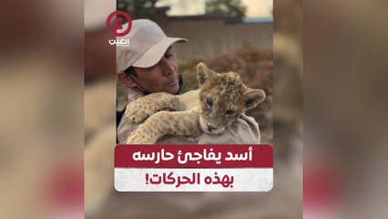 أسد يفاجئ حارسه بهذه الحركات!