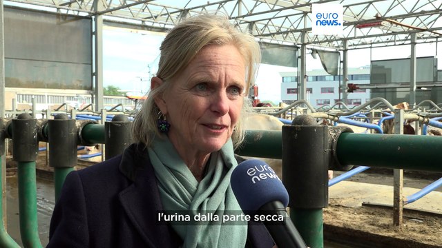 A Rotterdam una fattoria galleggiante per affrontare le sfide del cambiamento climatico