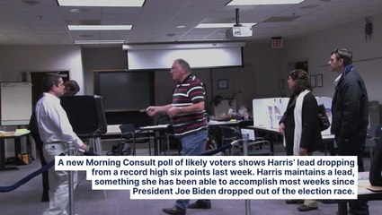 Trump Vs. Harris: Vice President Holds Slim Lead, Losing Momentum In Key Demographics, Favorability After Media Blitz