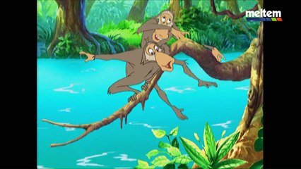 Bir Yağmur Damlası Doğuşu